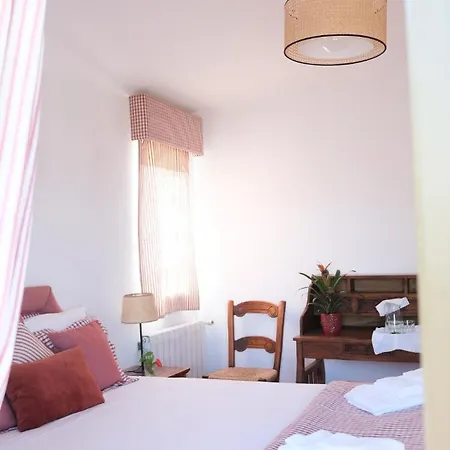 Buganvilla * البوفيرا