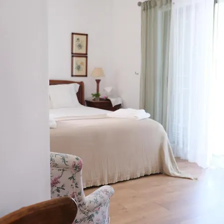 Buganvilla فيلة