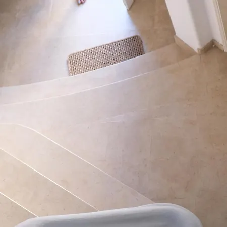 Buganvilla فيلة *