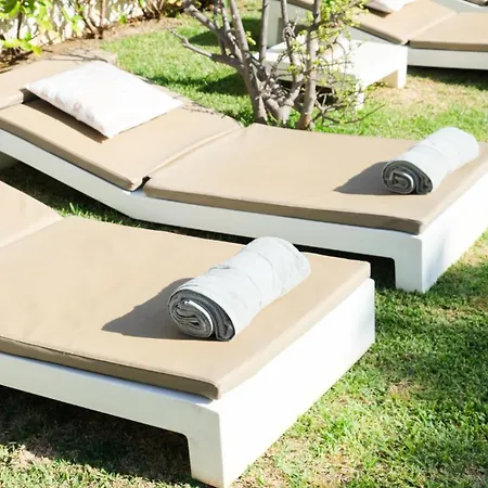 فيلة Buganvilla البوفيرا