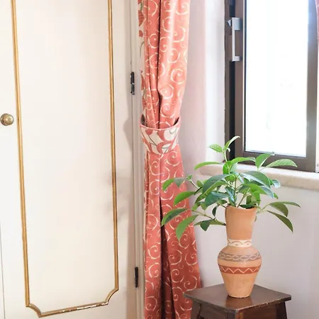 Buganvilla * البوفيرا