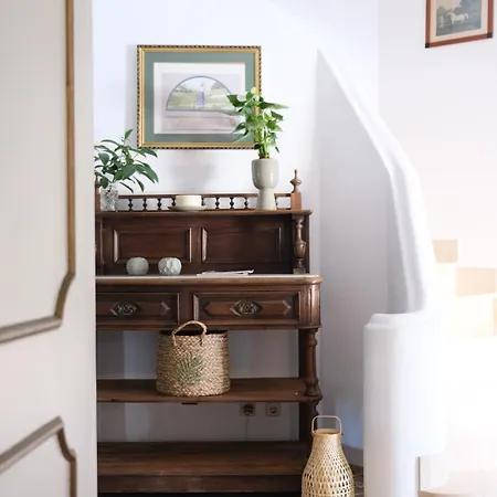Buganvilla فيلة